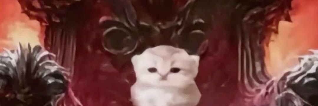 Hex is out of shrgery banner