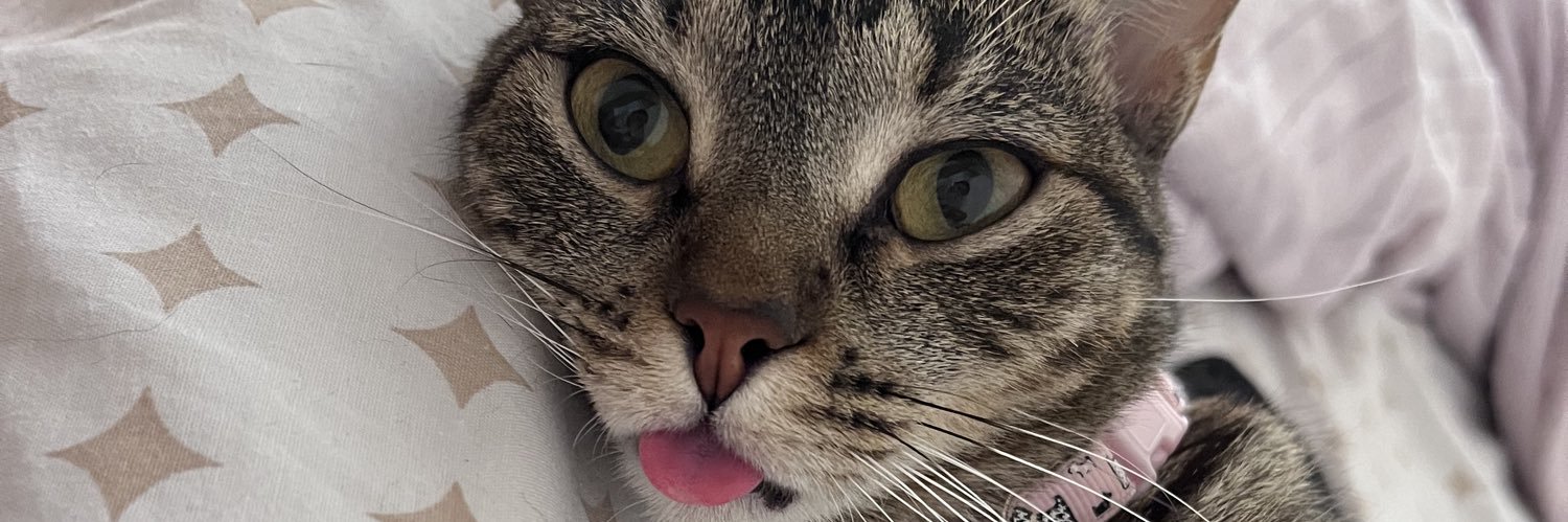 bubblestatt's profile banner image