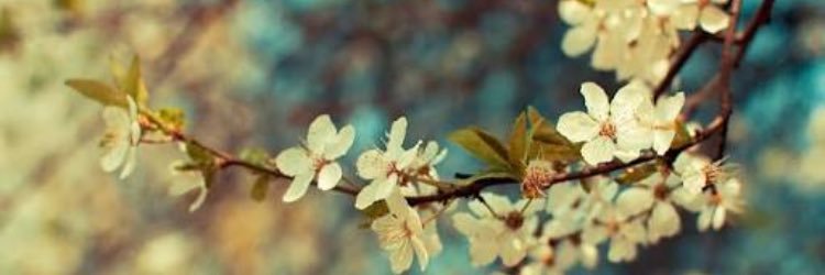 EmmelyCtu's profile banner image