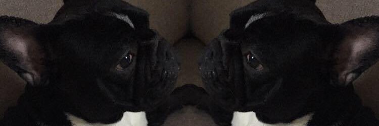 LauraFayKelly's profile banner image