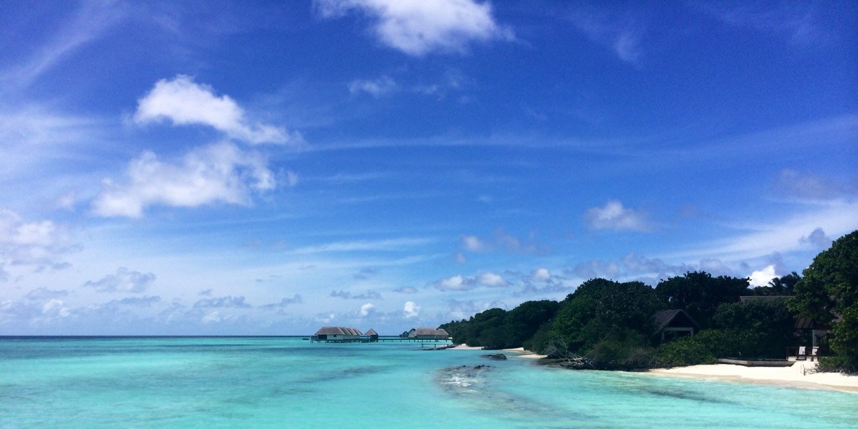 Chris Suggett banner