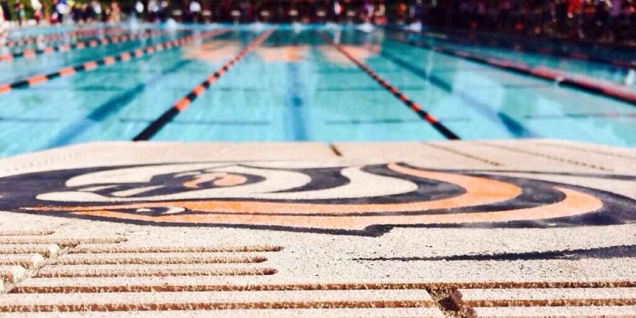 tigeraquatics's profile banner image