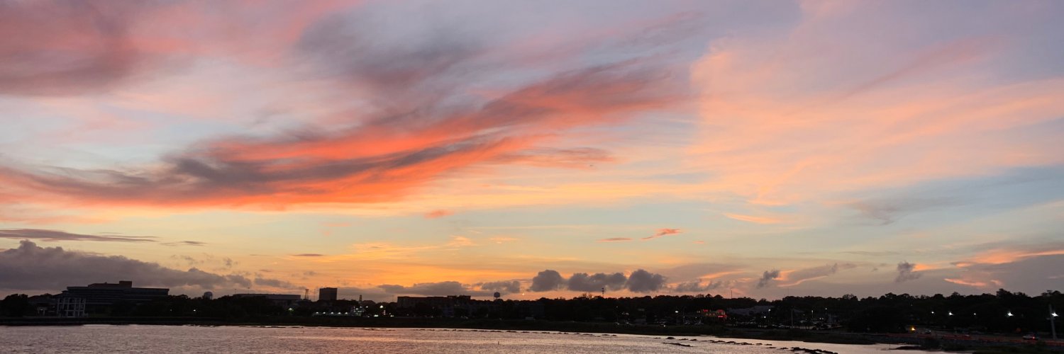 VirginiaMBuchan's profile banner image