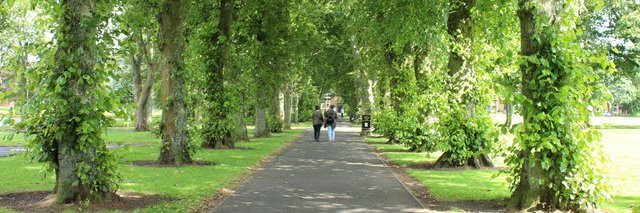 𝕽𝖔𝖇𝖊𝖗𝖙 𝕳𝖚𝖓𝖙𝖎𝖓𝖌𝖉𝖔𝖓 🏹 banner