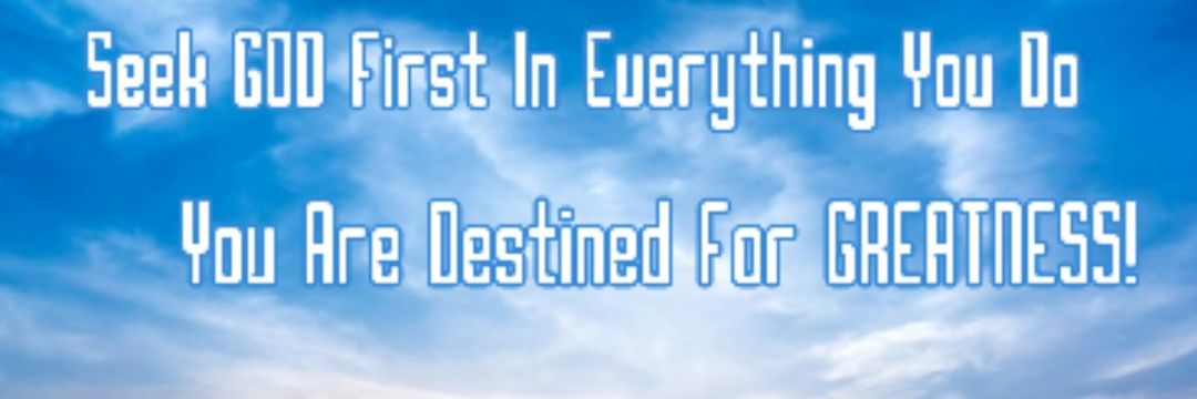 DocADVizemint's profile banner image