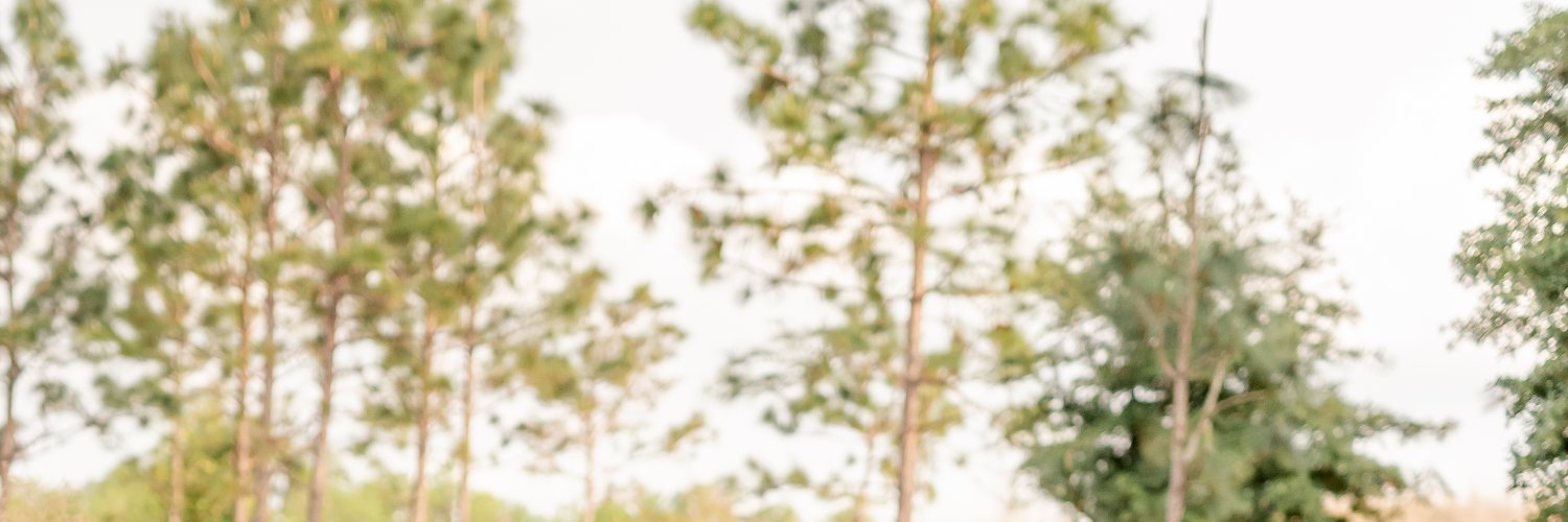 pownallmk's profile banner image