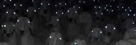 Chester_Fenris banner