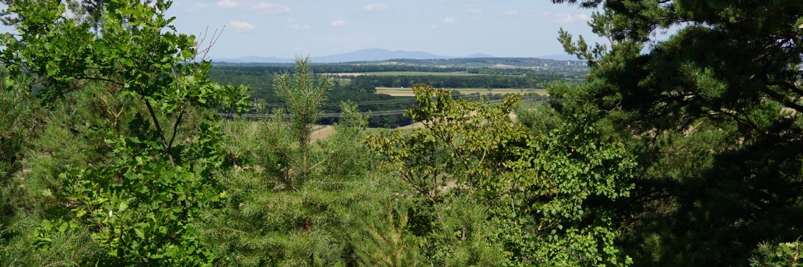 helle1902's profile banner image