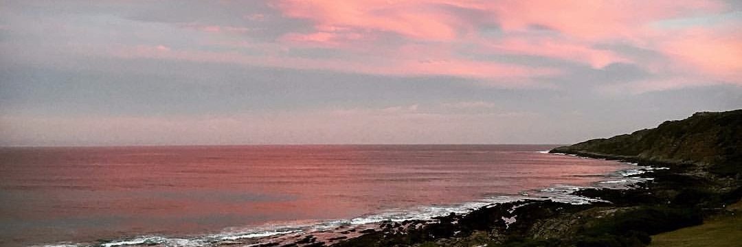 PattiBee3's profile banner image