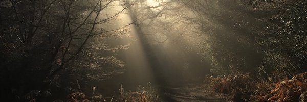AnnaRolls1 Profile Banner