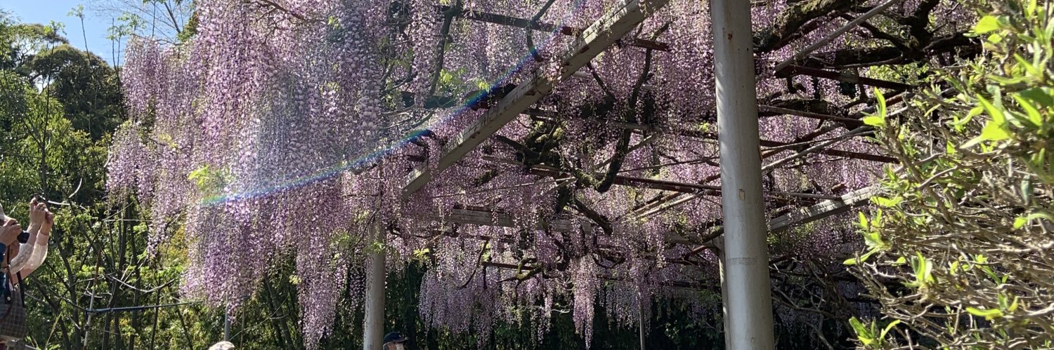 okomemakiko's profile banner image