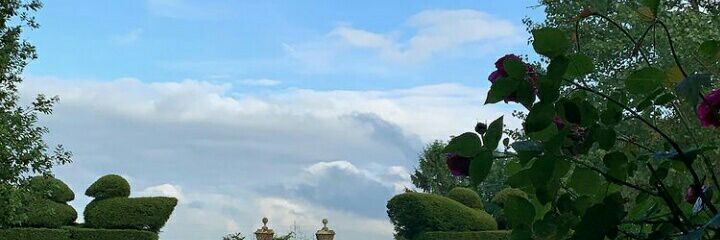 hitman951407's profile banner image
