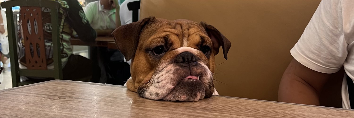 chotsilogg's profile banner image
