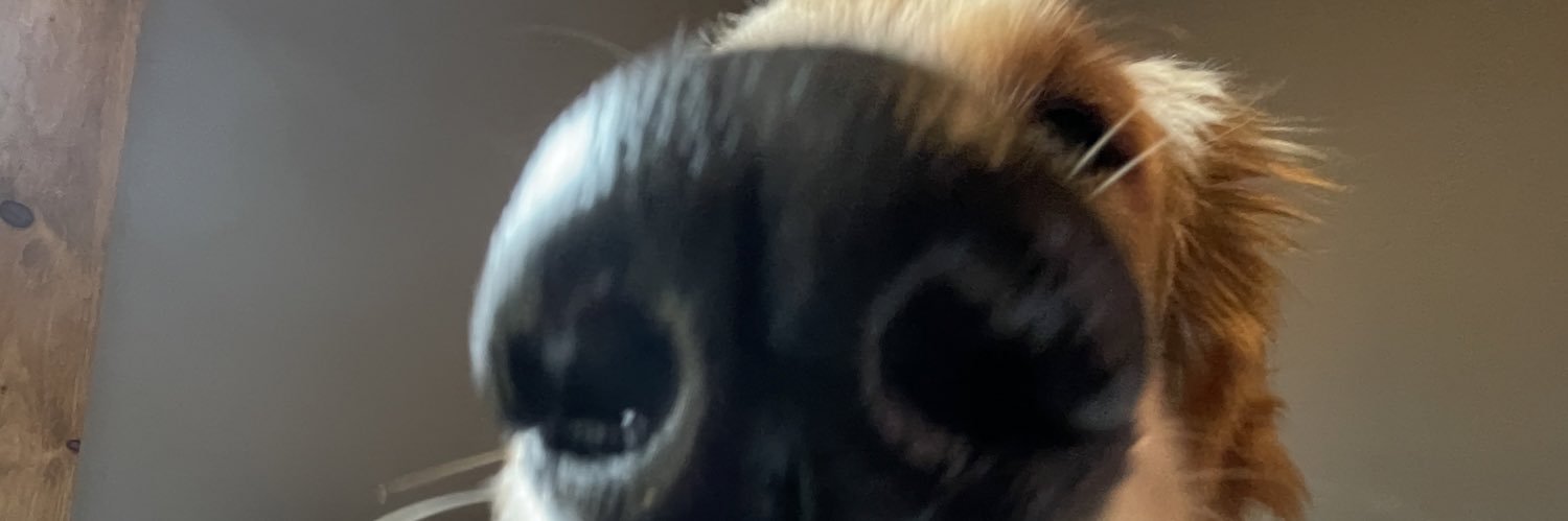 _TheHawk__'s profile banner image