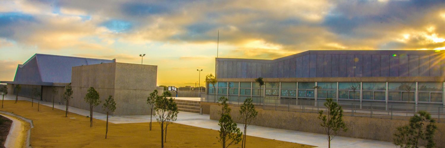 IESPFlamenca's profile banner image