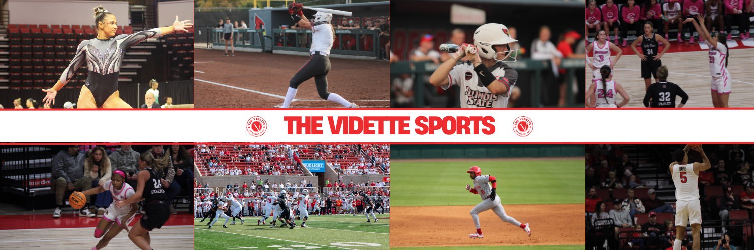 Vidette Sports's banner