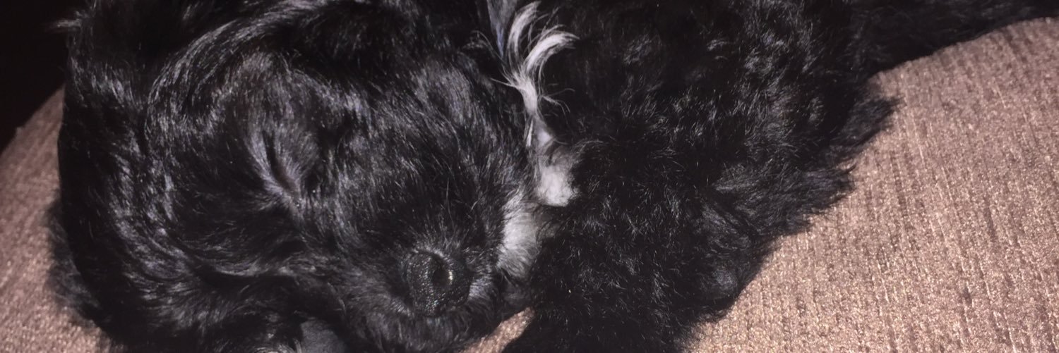Amymonnie's profile banner image
