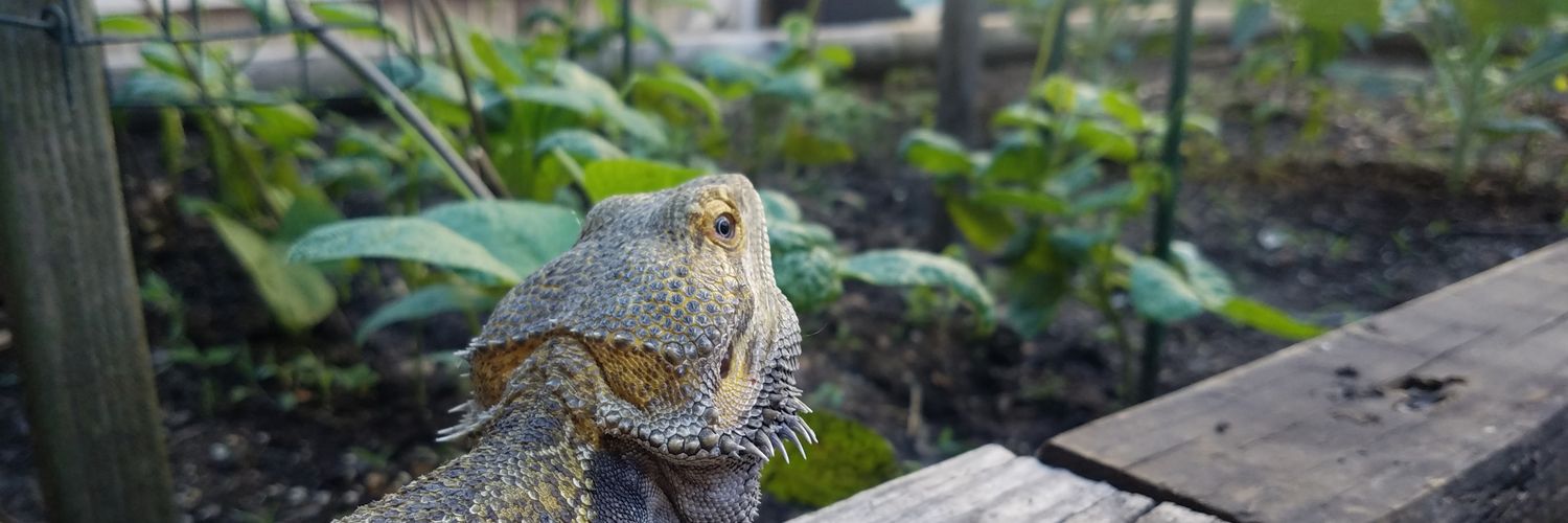 Geraldine Mabagos 🇵🇭 banner