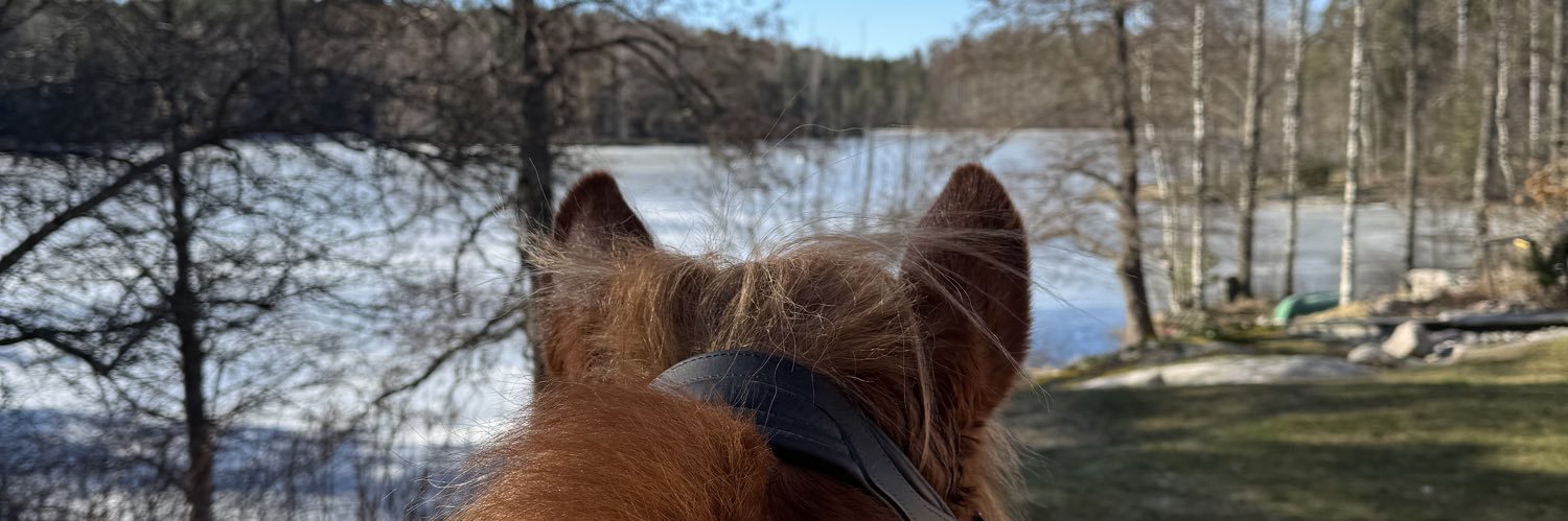 Hannijoa's profile banner image