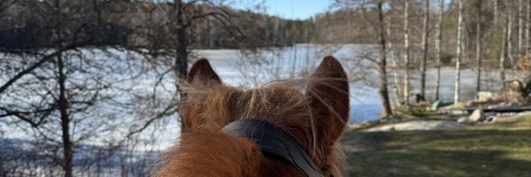 Hannijoa Profile Banner