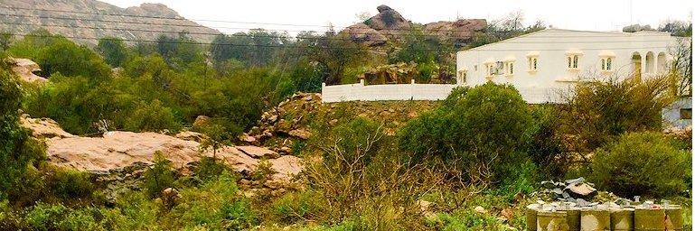suleman993's profile banner image