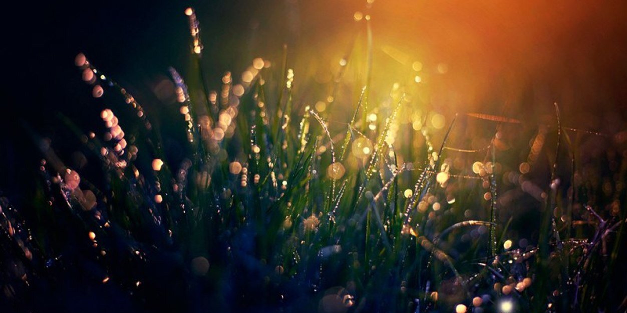 yoalllll's profile banner image