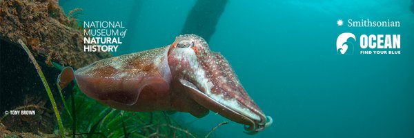 OceanPortal Profile Banner