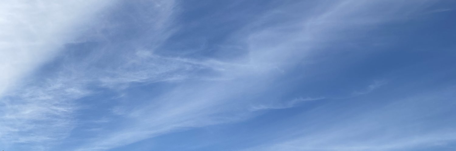 holontrap's profile banner image