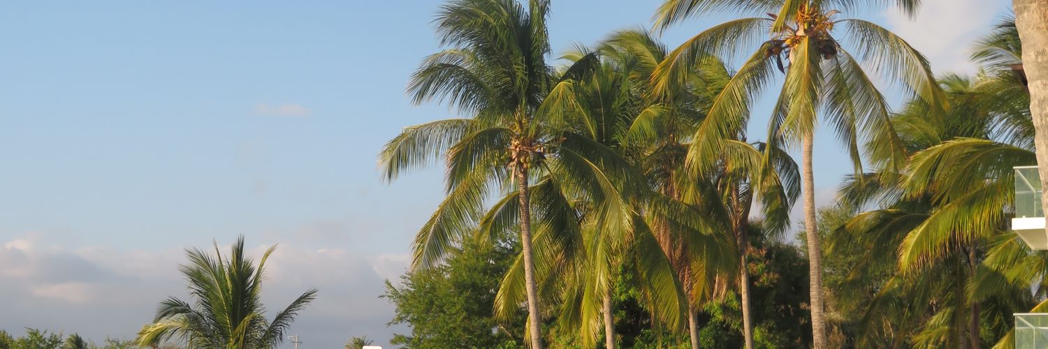 AdisGutapi's profile banner image