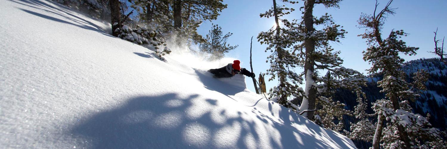Red Lodge Mountain banner