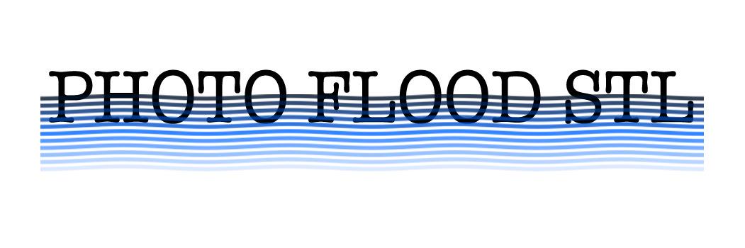 Photo Flood STL banner