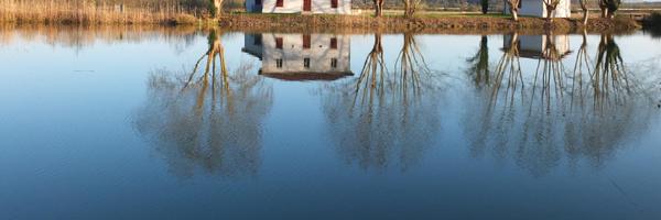 samaravelte Profile Banner