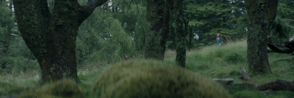 homeofsapphic Profile Banner