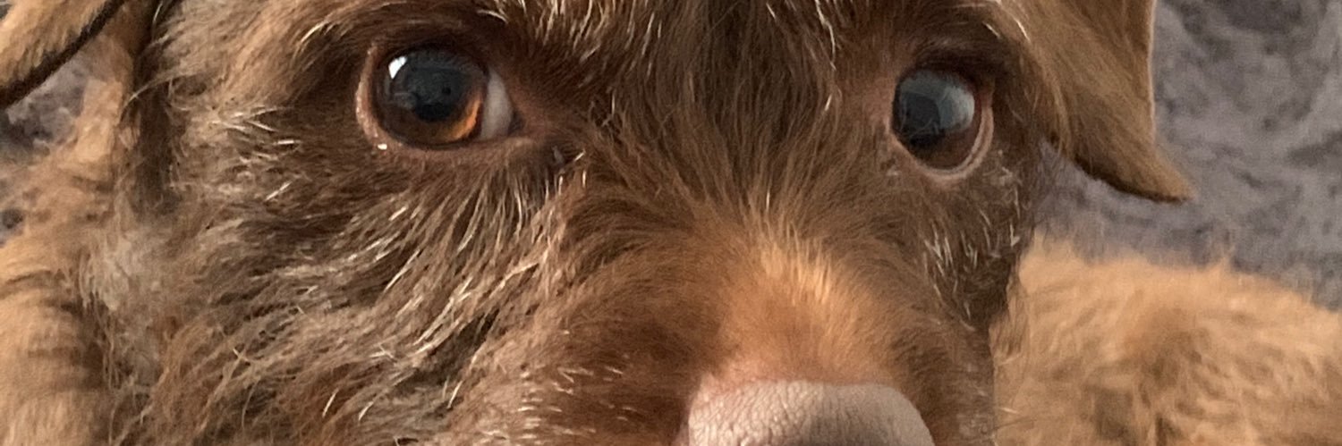 JasonCain71's profile banner image