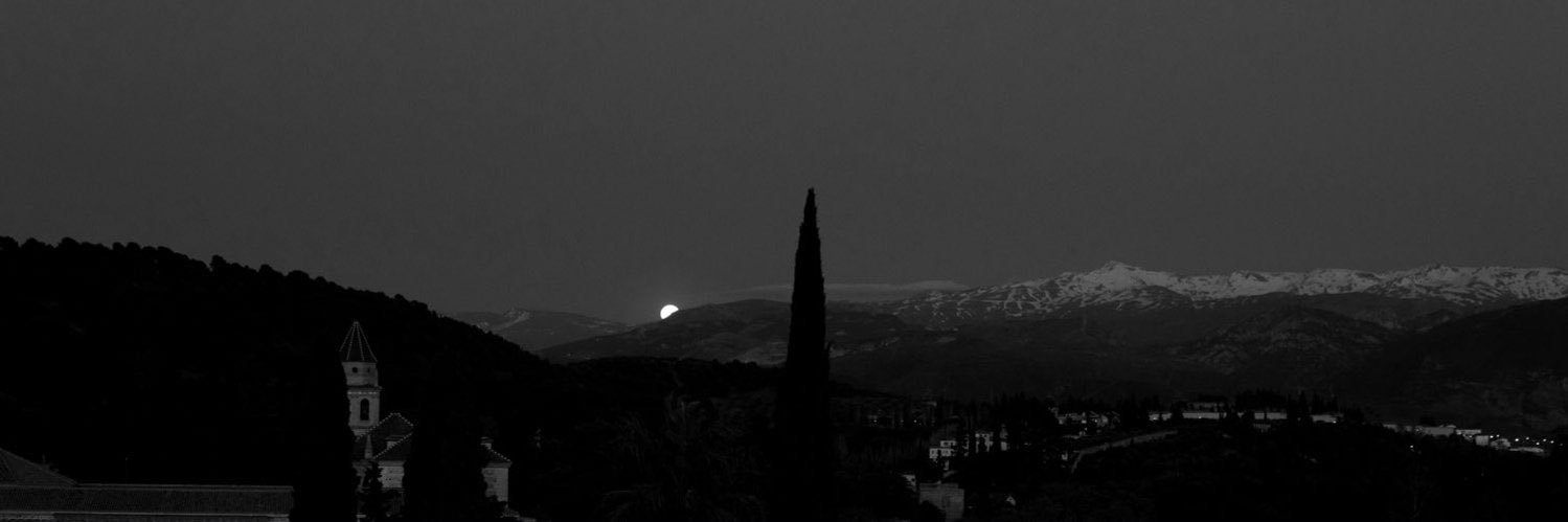 avs8214☪️ ۞ banner