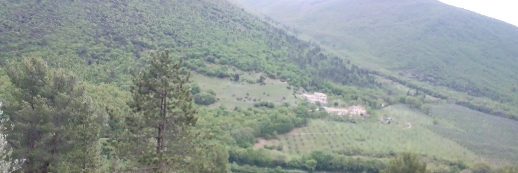 Nunziata Comoretto banner