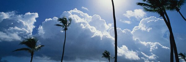 SecureMiami Profile Banner