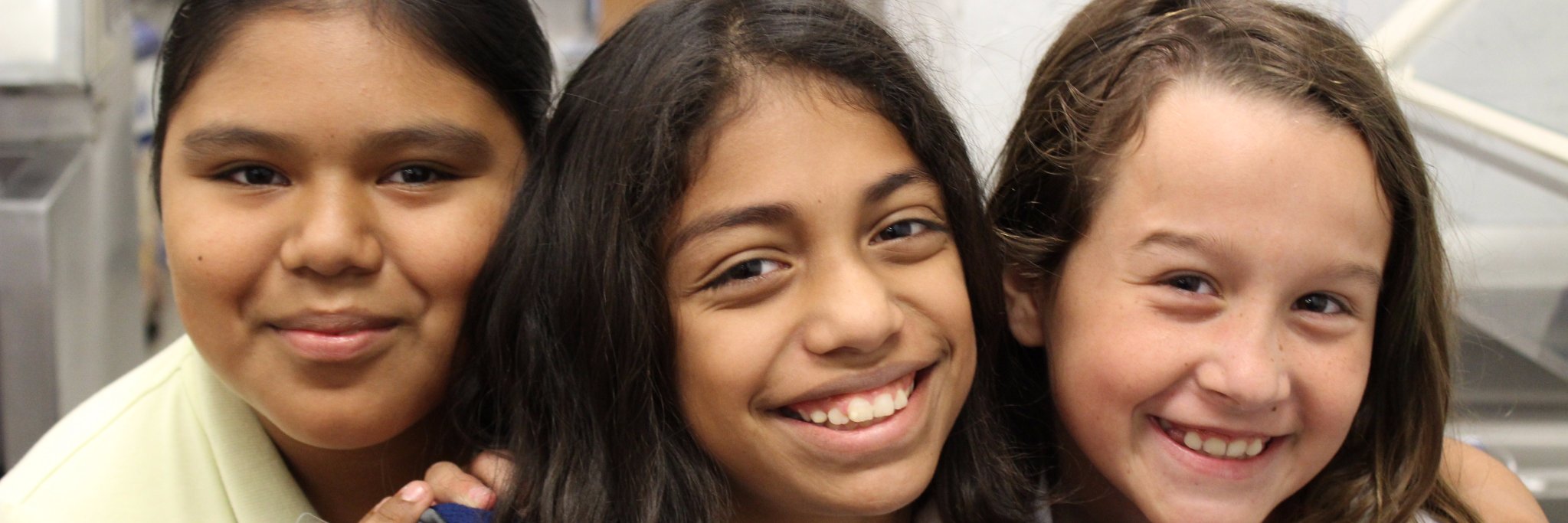 Laurie J. Gaylord banner