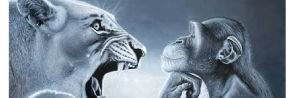 VIDALDOWNSKI Profile Banner