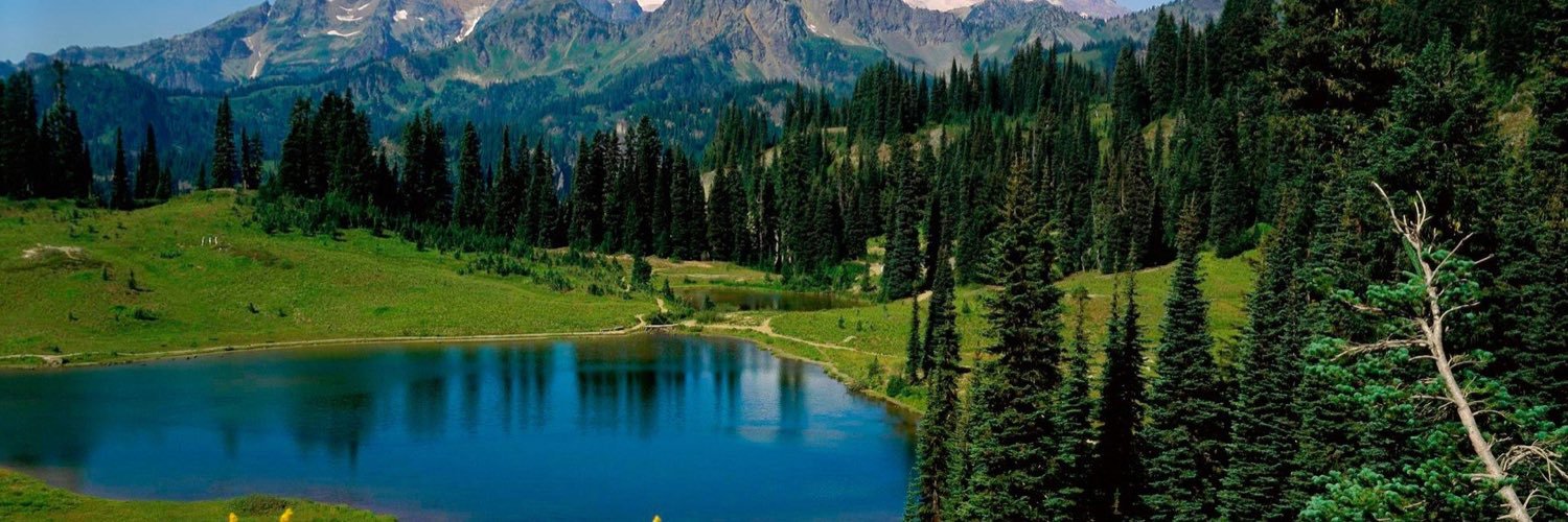 State Of Washington banner