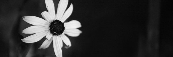 ezgiibzkrt's profile banner image