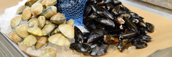 FinsSelect Profile Banner