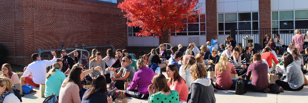 LPS Prof Learning banner