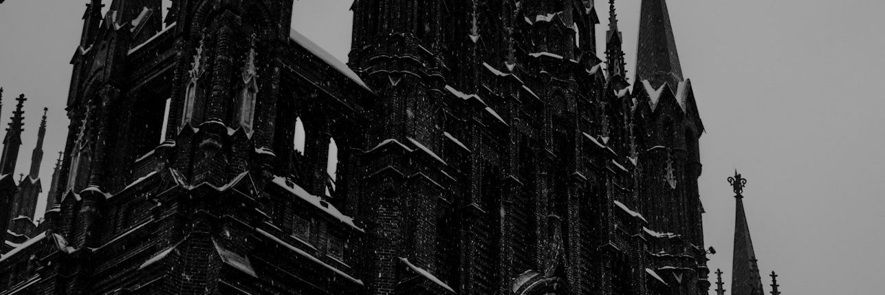 ferraz_roque's profile banner image