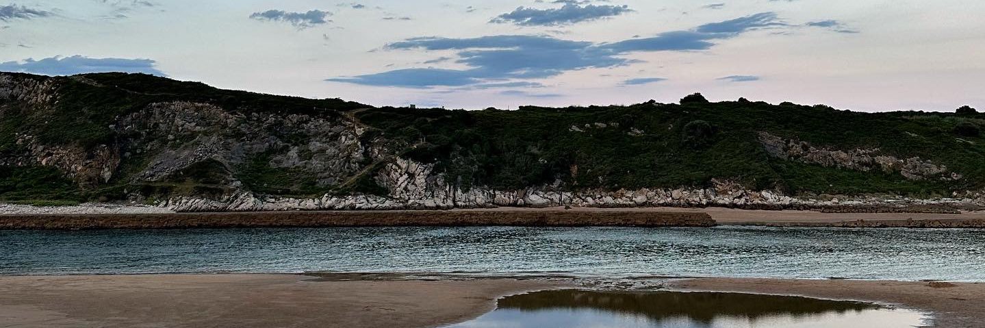 ohflatline's profile banner image