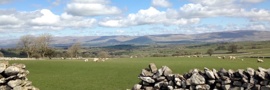 Jess Rogerson banner