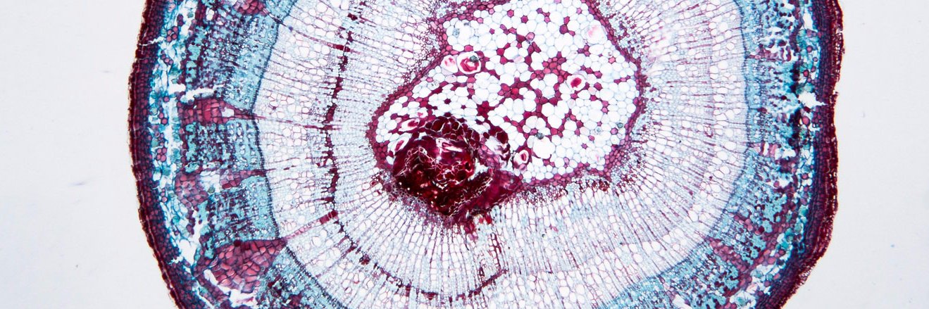 Cloud-Clone Corp. banner