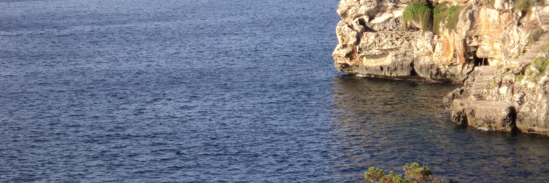 fredwhiteden's profile banner image