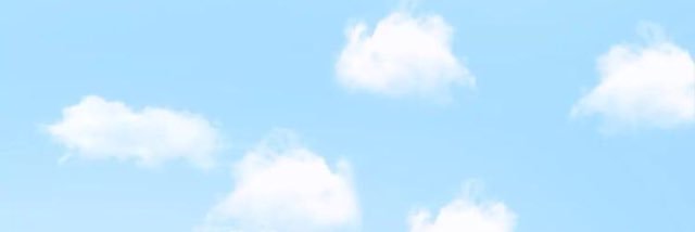 Amina Sadigbeyli banner