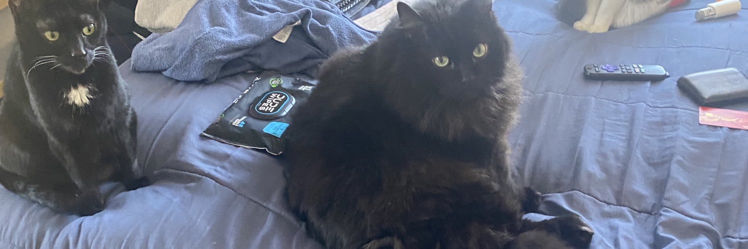 Mark Hultmark banner